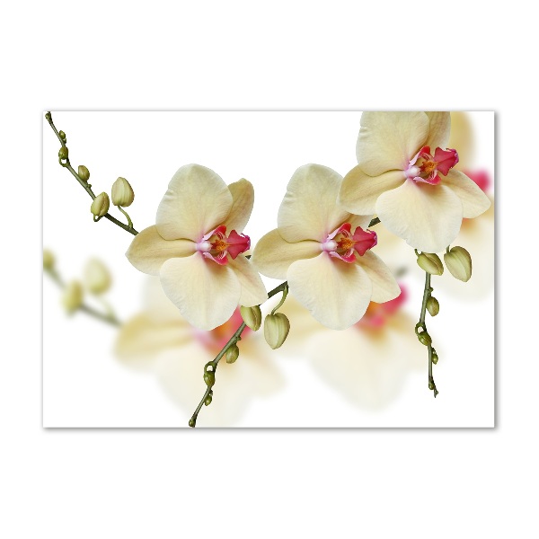 Glass wall art large Orchid