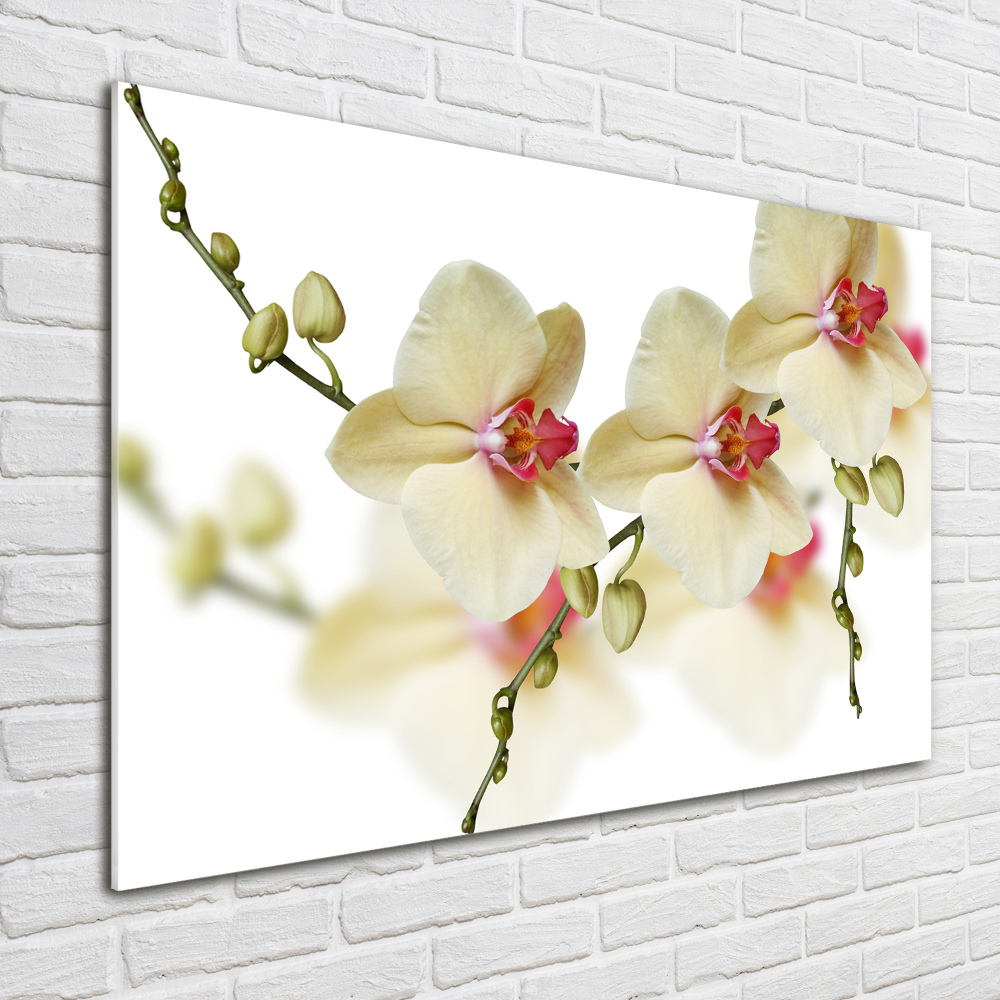 Glass wall art large Orchid