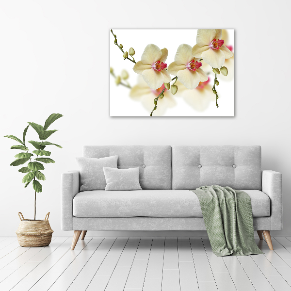 Glass wall art large Orchid