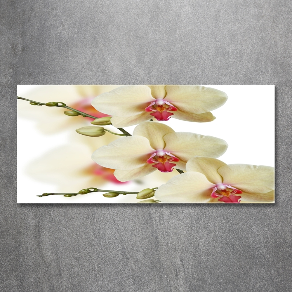 Glass wall art large Orchid