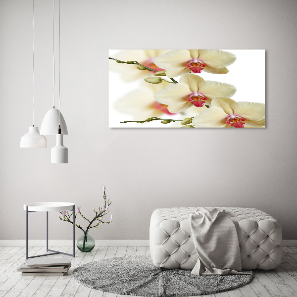 Glass wall art large Orchid