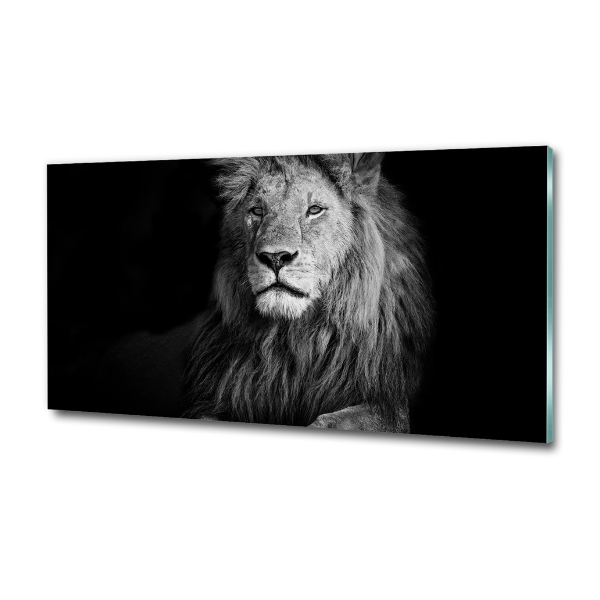 Wall art on glass Lion