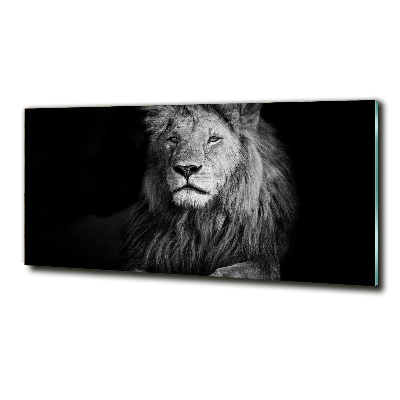 Wall art on glass Lion