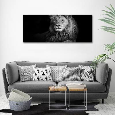 Wall art on glass Lion