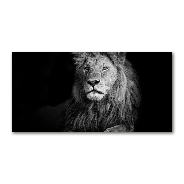 Wall art on glass Lion