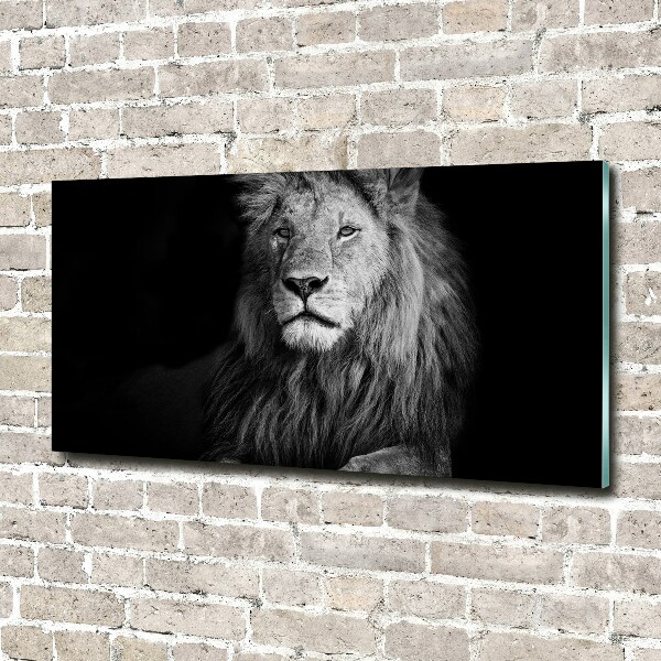 Wall art on glass Lion