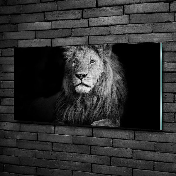 Wall art on glass Lion