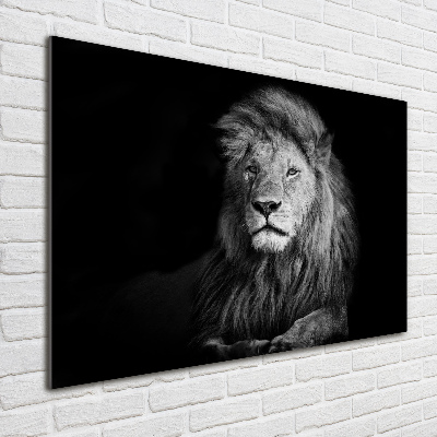 Wall art on glass Lion