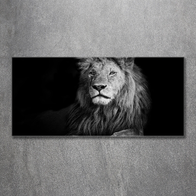 Wall art on glass Lion