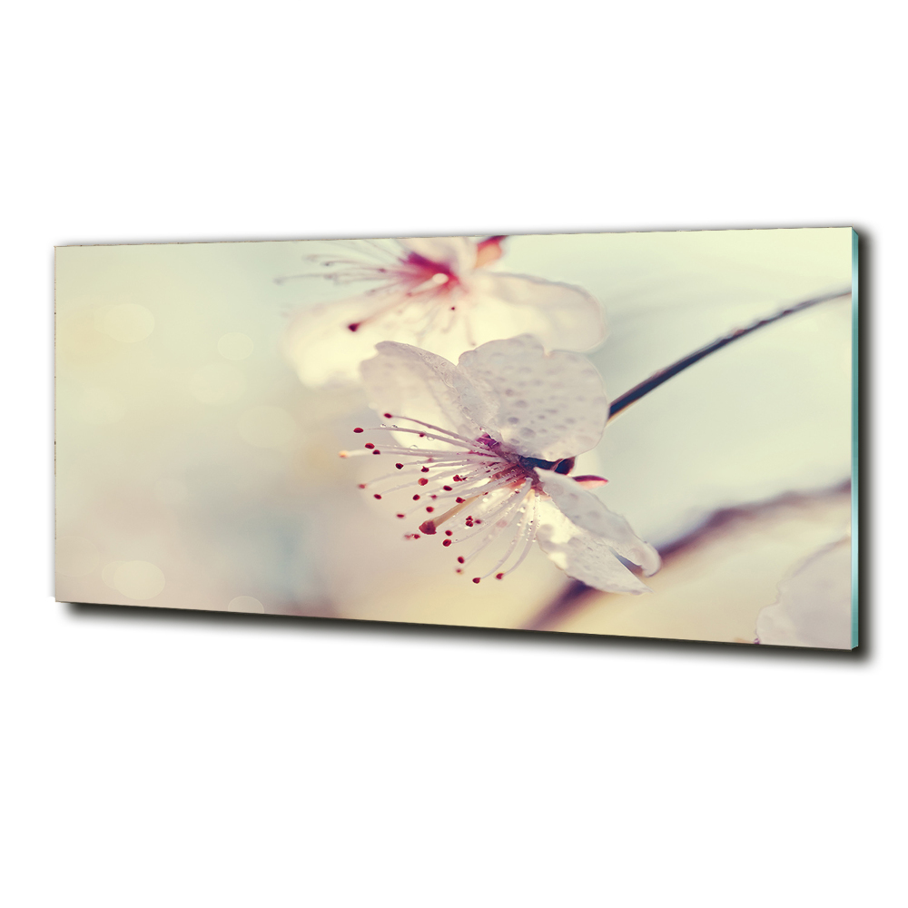 Glass wall art large Cherry blossom