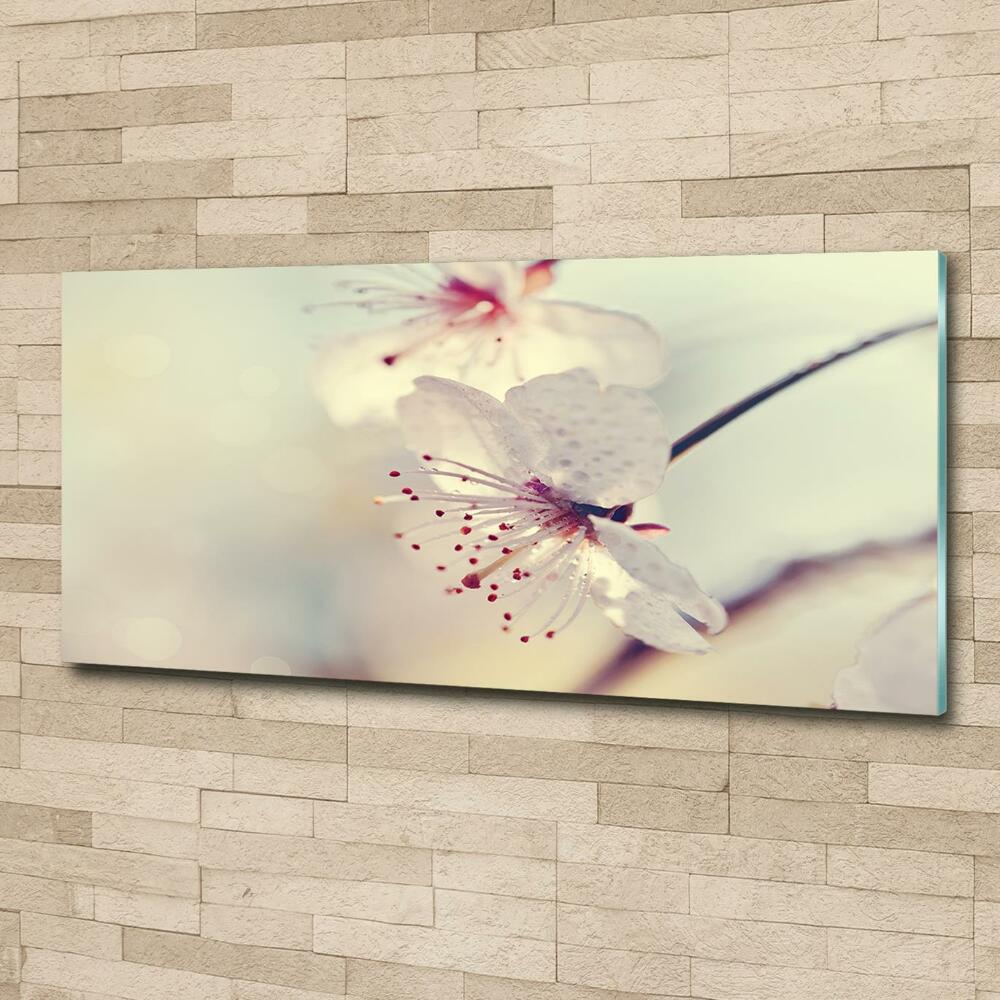 Glass wall art large Cherry blossom