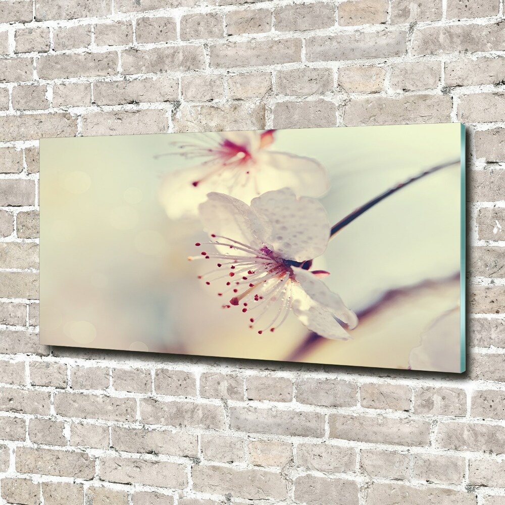 Glass wall art large Cherry blossom