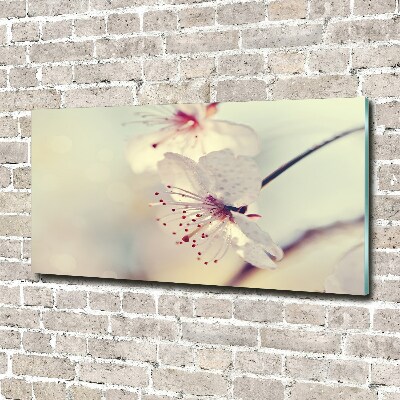 Glass wall art large Cherry blossom