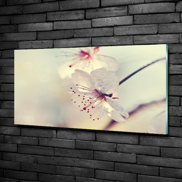 Glass wall art large Cherry blossom