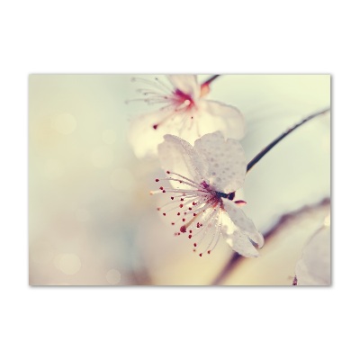 Glass wall art large Cherry blossom