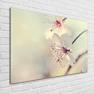 Glass wall art large Cherry blossom