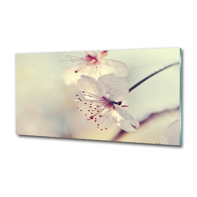 Glass wall art large Cherry blossom