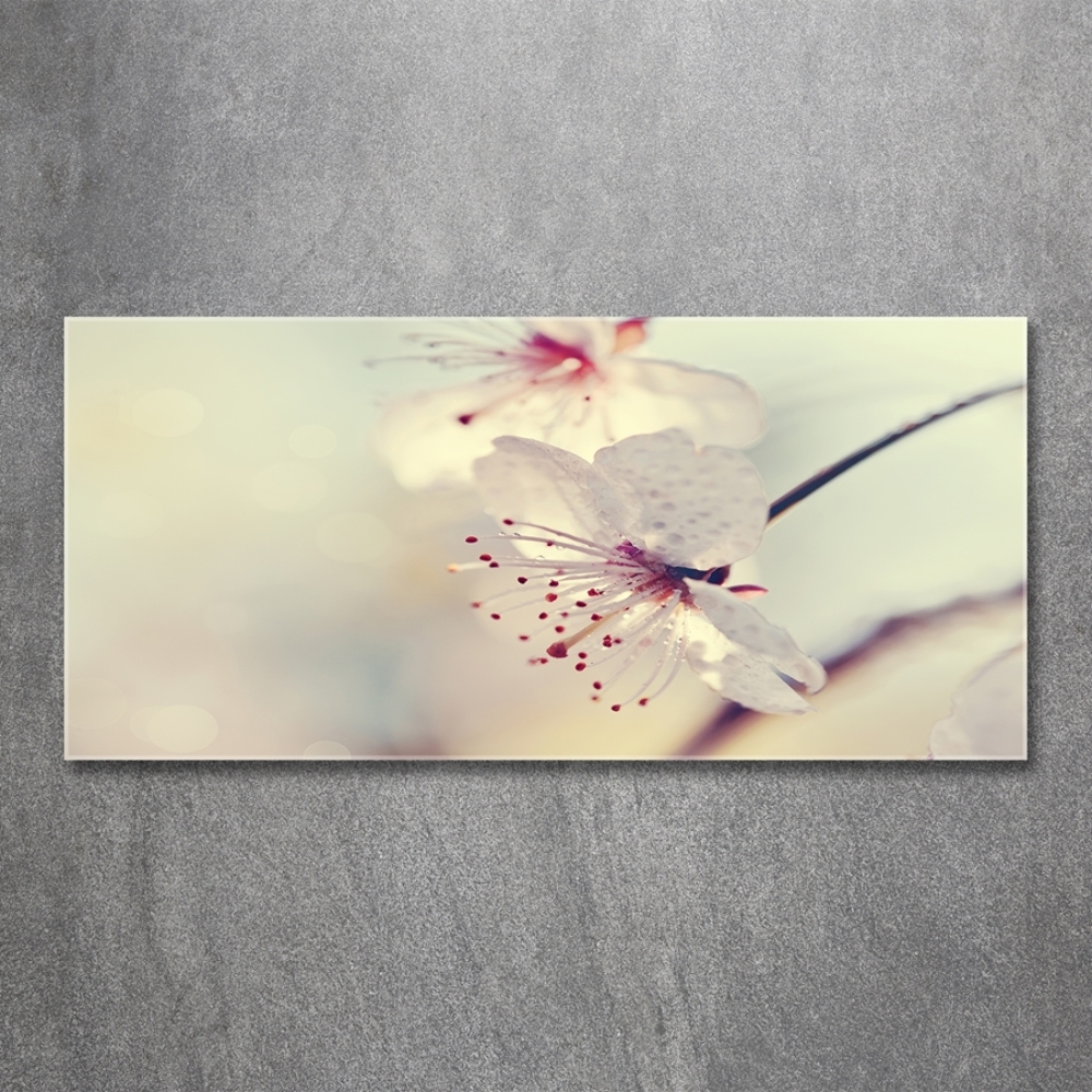 Glass wall art large Cherry blossom