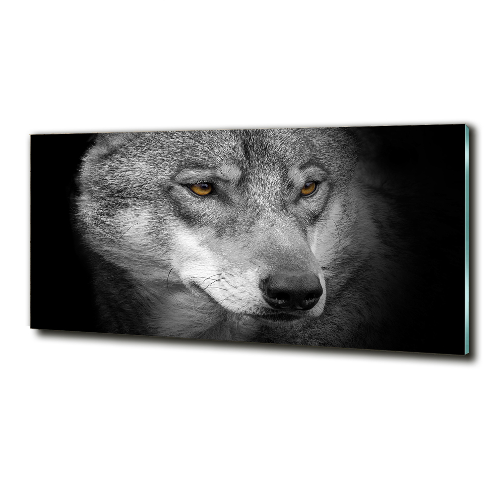 Wall art on glass Wolf