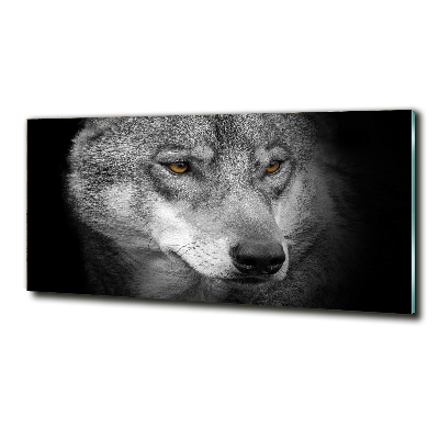 Wall art on glass Wolf