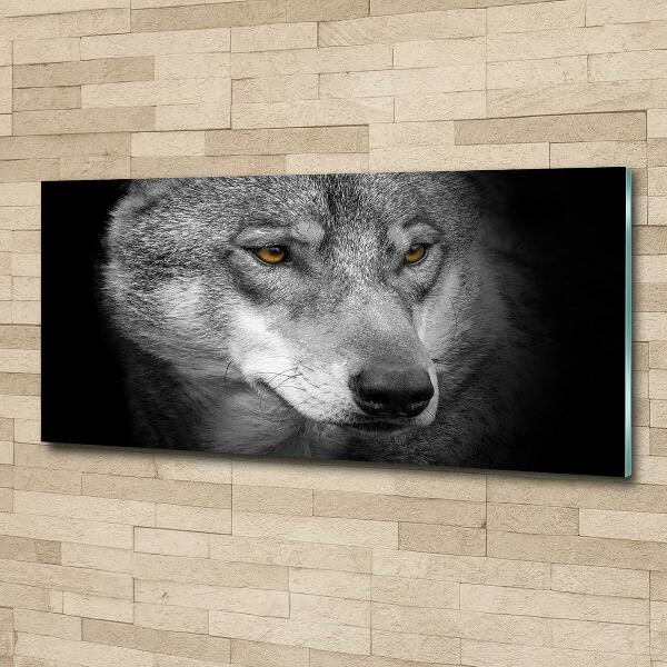 Wall art on glass Wolf