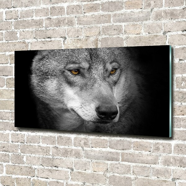 Wall art on glass Wolf