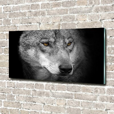 Wall art on glass Wolf