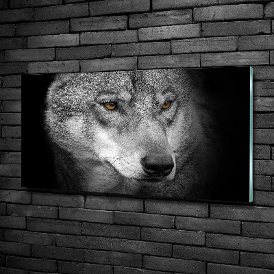 Wall art on glass Wolf