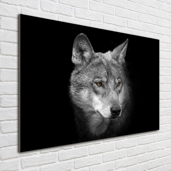 Wall art on glass Wolf