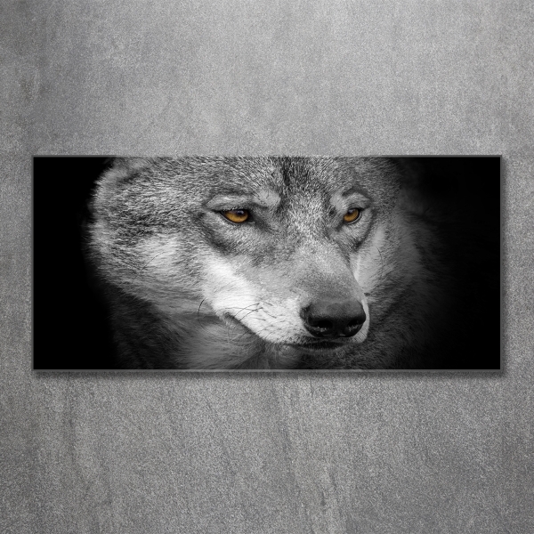 Wall art on glass Wolf