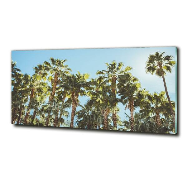 Photo printed on glass High palm trees