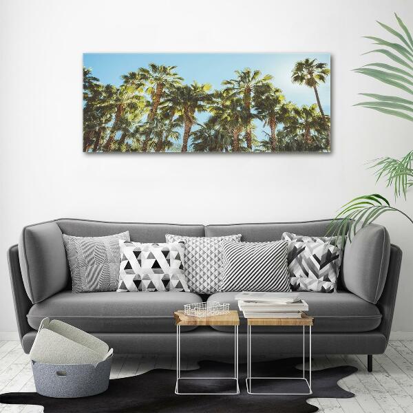 Photo printed on glass High palm trees