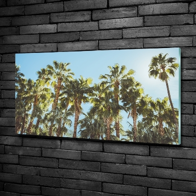 Photo printed on glass High palm trees