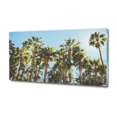 Photo printed on glass High palm trees