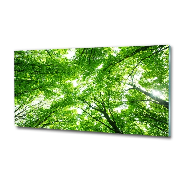 Glass picture print Green forest