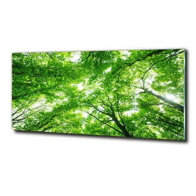 Glass picture print Green forest