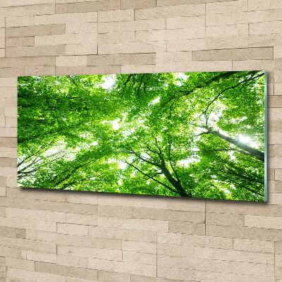 Glass picture print Green forest