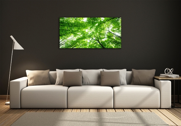 Glass picture print Green forest