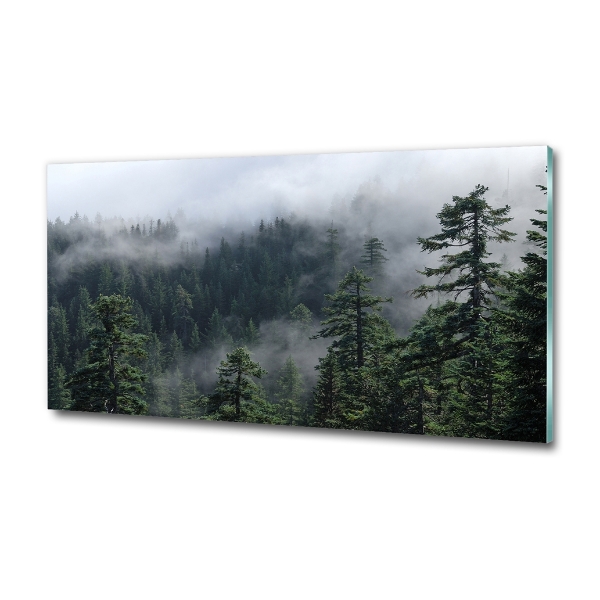 Photo printed on glass Forest fog