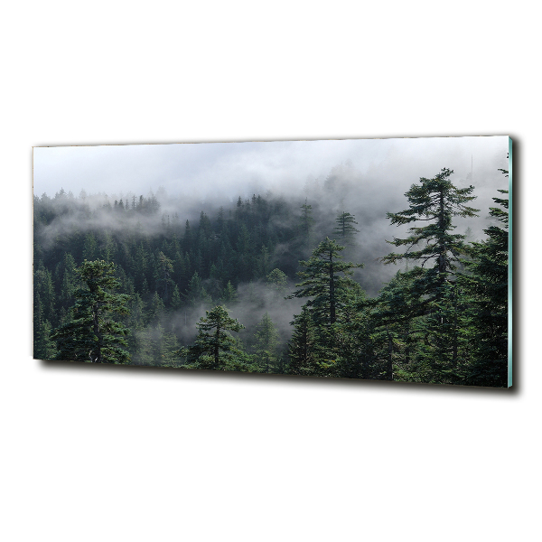 Photo printed on glass Forest fog