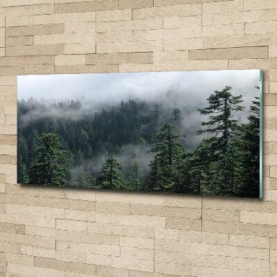 Photo printed on glass Forest fog