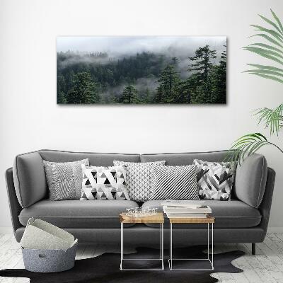 Photo printed on glass Forest fog