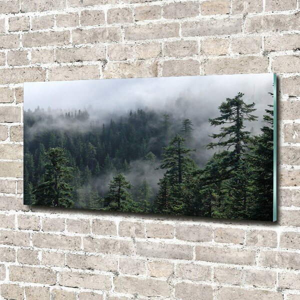 Photo printed on glass Forest fog