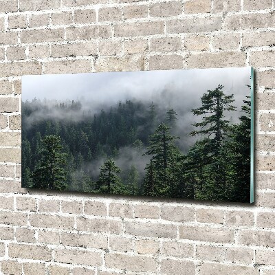 Photo printed on glass Forest fog