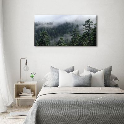 Photo printed on glass Forest fog