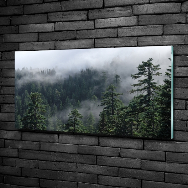 Photo printed on glass Forest fog