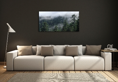 Photo printed on glass Forest fog