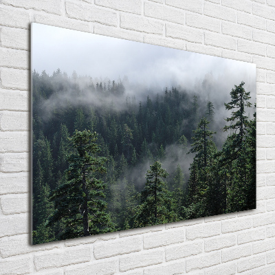 Photo printed on glass Forest fog