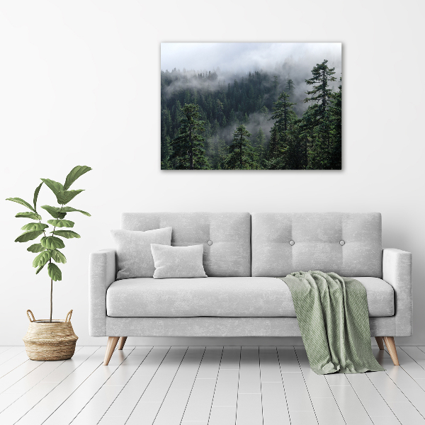 Photo printed on glass Forest fog