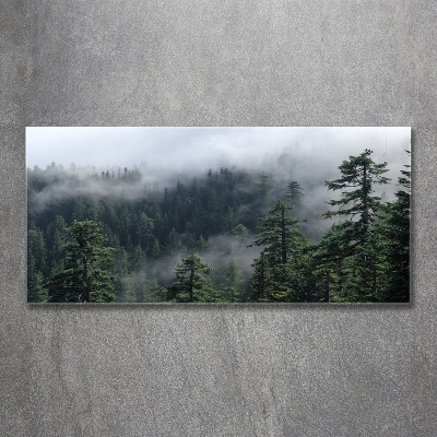 Photo printed on glass Forest fog